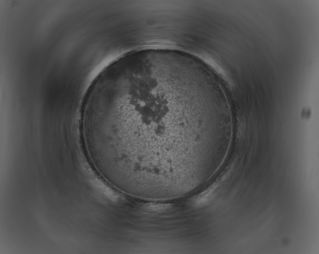 X0000091551325200708241747
