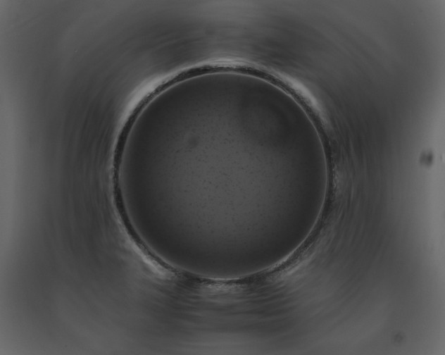 X0000091551327200708241747