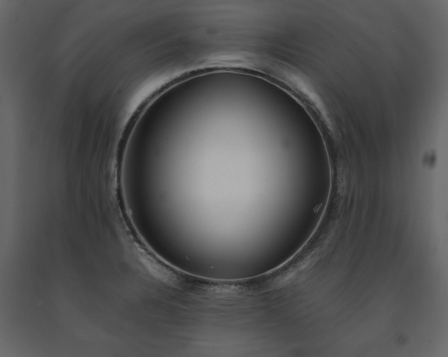 X0000091551328200708241747