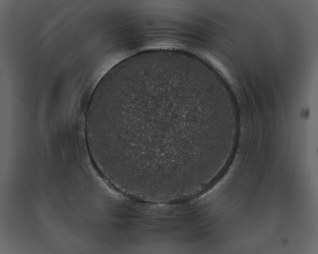 X0000091551329200708241747