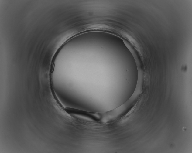 X0000091551330200708241747