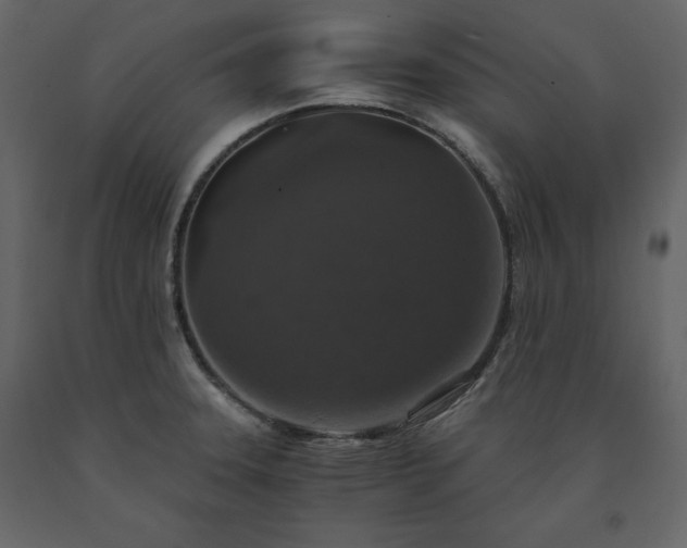 X0000091551331200708241747