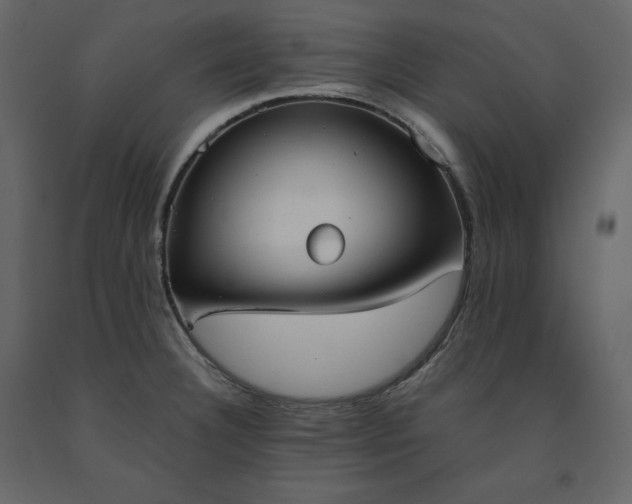 X0000091551332200708241747