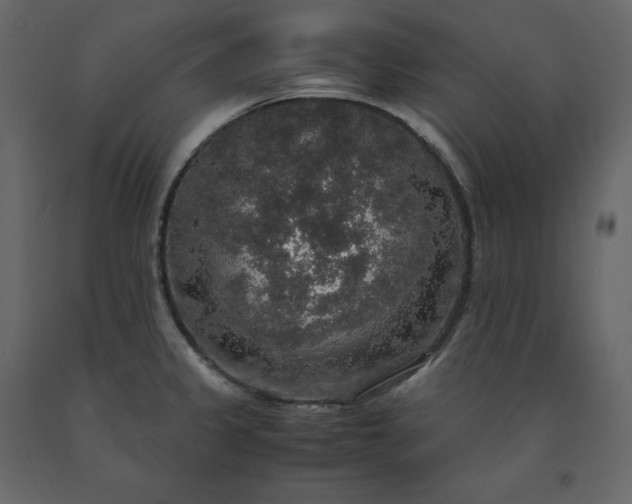 X0000091551333200708241747