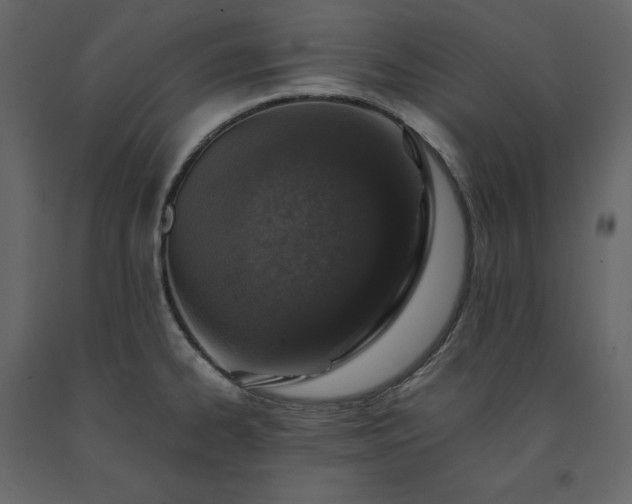 X0000091551334200708241747