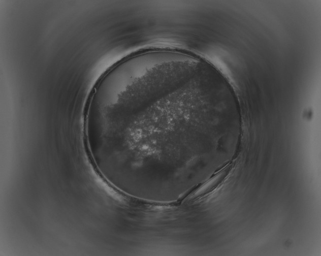 X0000091551335200708241747