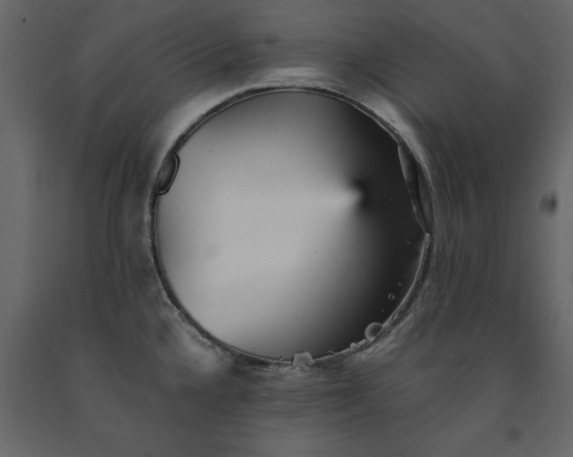 X0000091551336200708241747