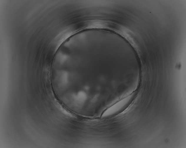 X0000091551337200708241747