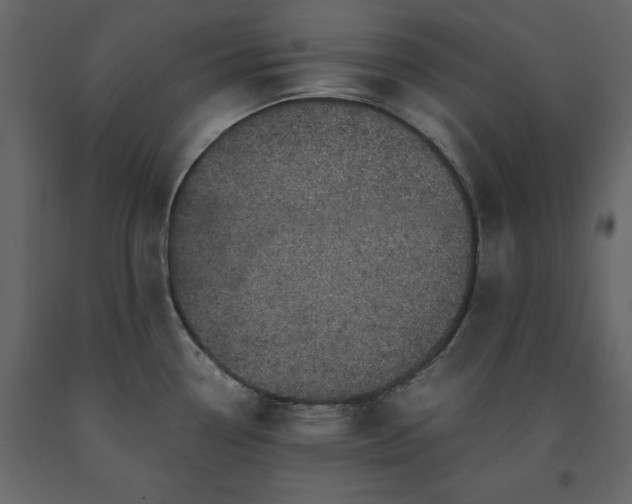 X0000091551338200708241747