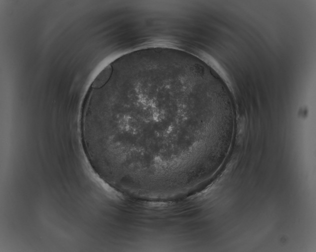 X0000091551339200708241747