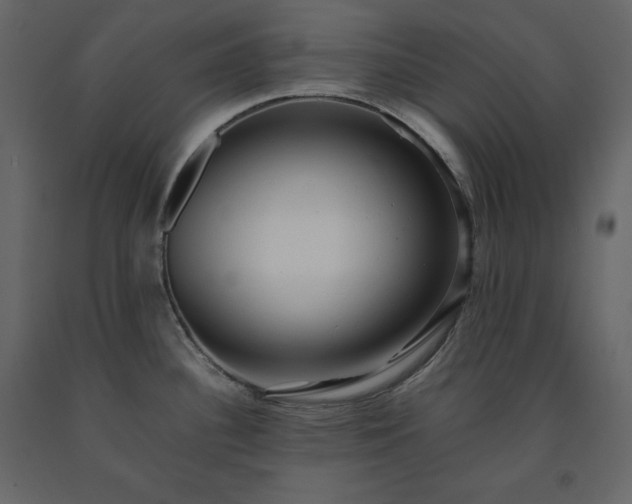 X0000091551340200708241747