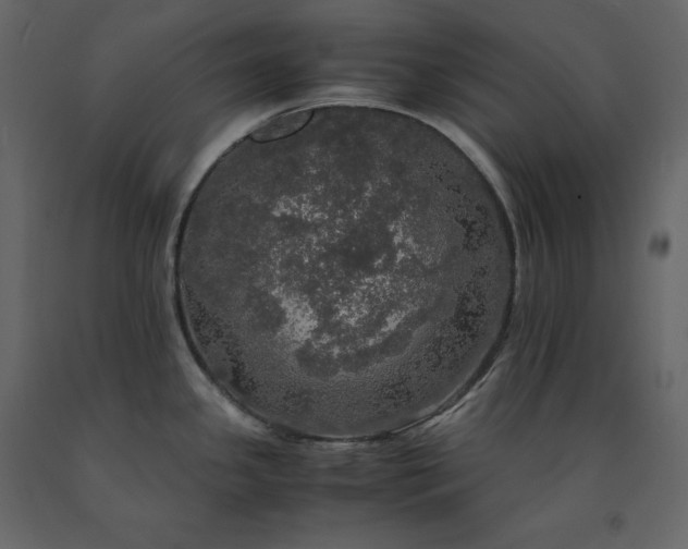 X0000091551341200708241747