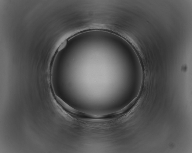 X0000091551342200708241747