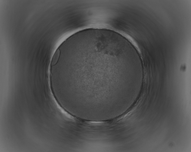 X0000091551343200708241747
