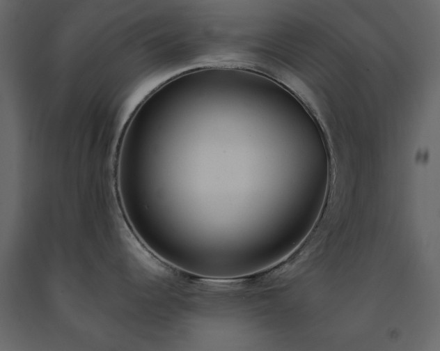 X0000091551344200708241747