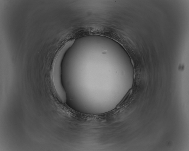 X0000091551345200708241746