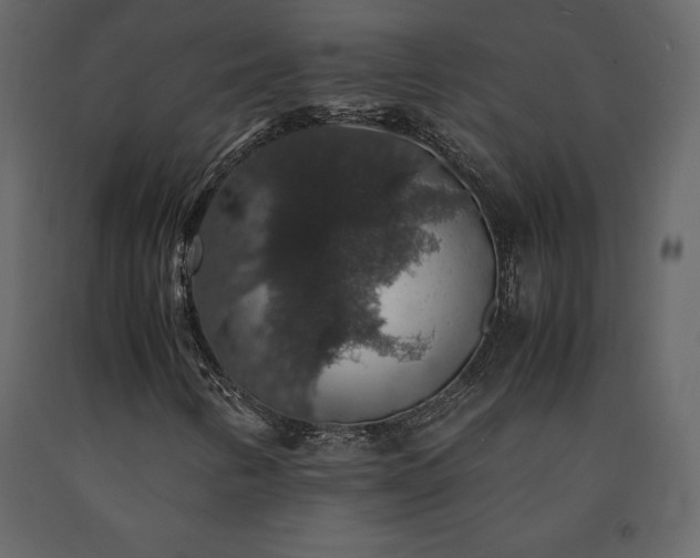 X0000091551346200708241746