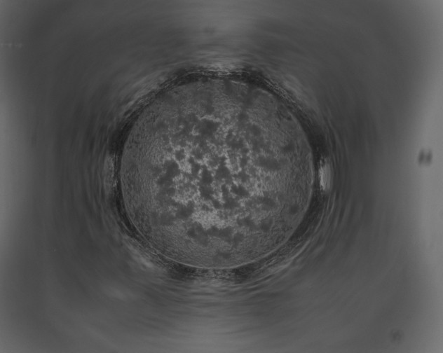 X0000091551347200708241746