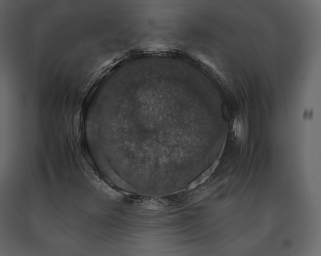 X0000091551348200708241746