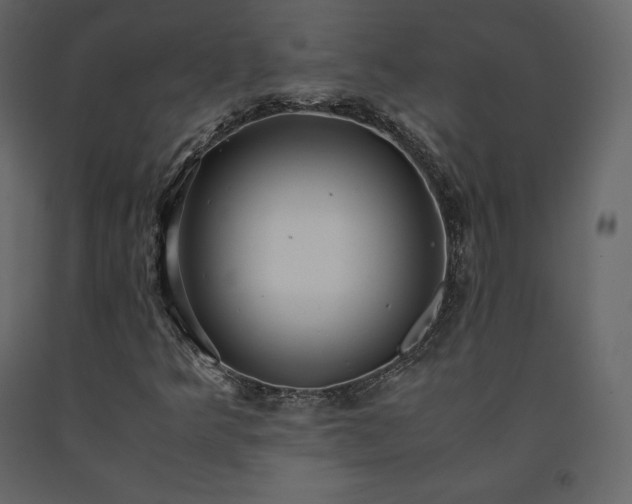 X0000091551349200708241746