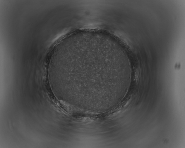 X0000091551350200708241746