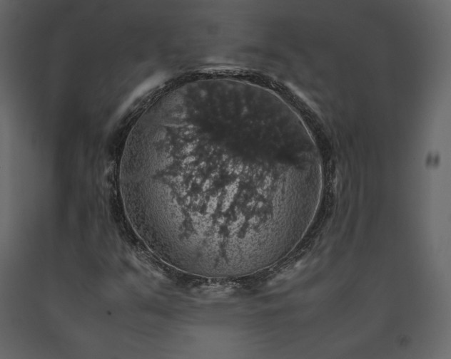 X0000091551351200708241746