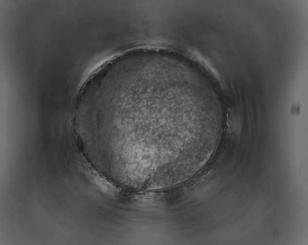 X0000091551352200708241746