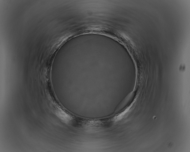 X0000091551353200708241746