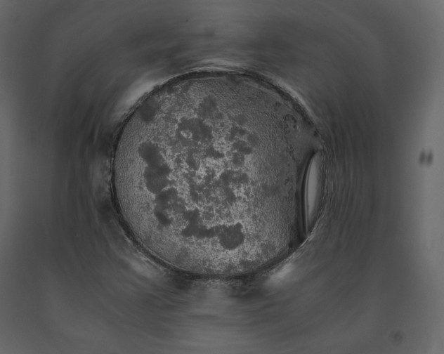X0000091551355200708241746