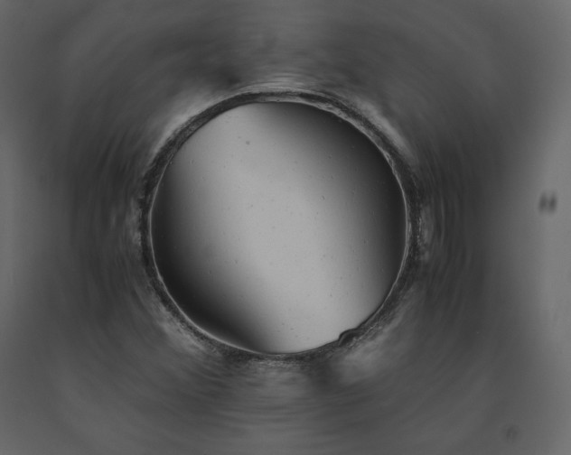 X0000091551356200708241746
