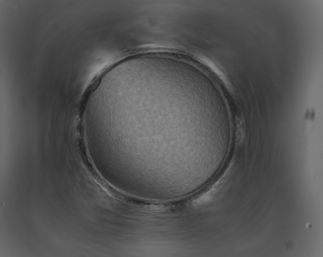 X0000091551357200708241746