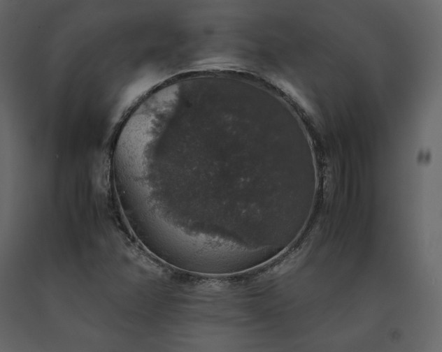 X0000091551358200708241746