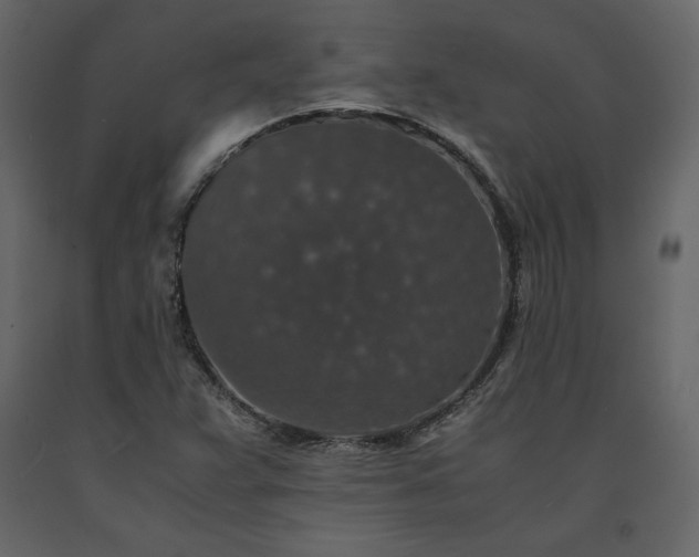 X0000091551359200708241746