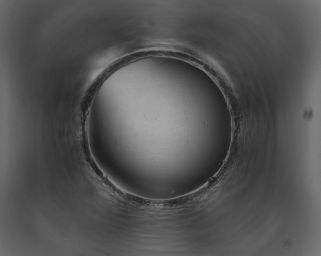 X0000091551360200708241746