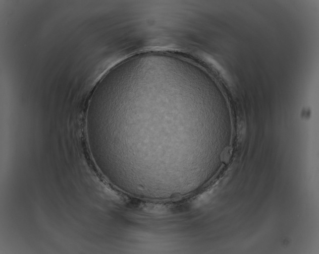X0000091551361200708241746