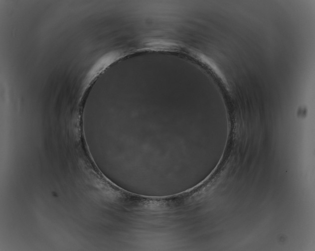 X0000091551362200708241746