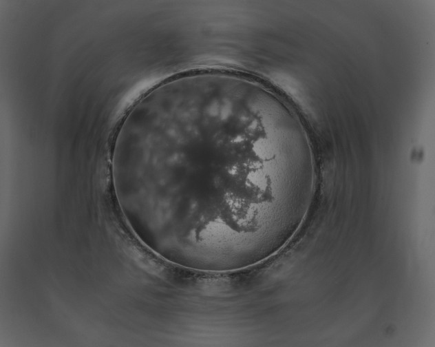 X0000091551363200708241746