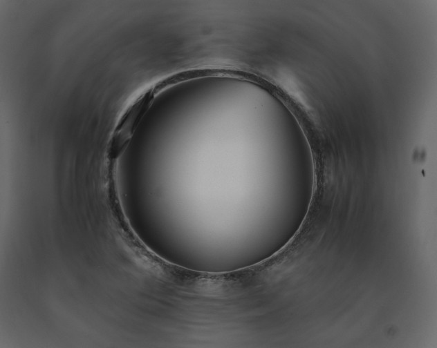 X0000091551364200708241746