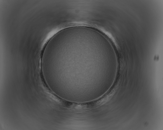 X0000091551365200708241746
