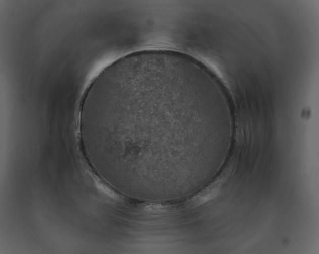 X0000091551366200708241746
