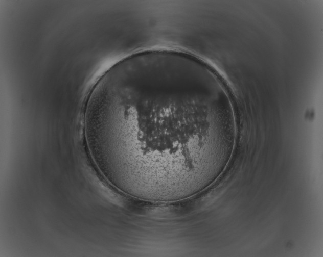 X0000091551367200708241746
