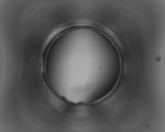 X0000091551368200708241746