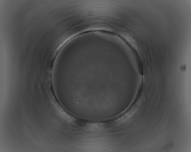 X0000091551369200708241746