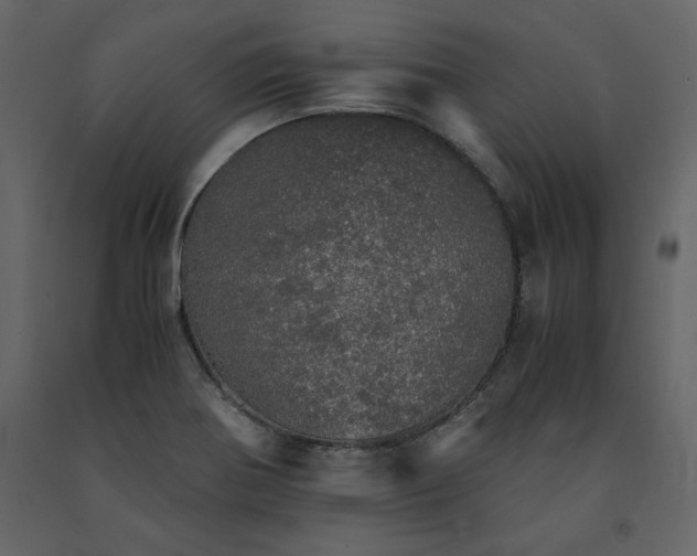 X0000091551370200708241746