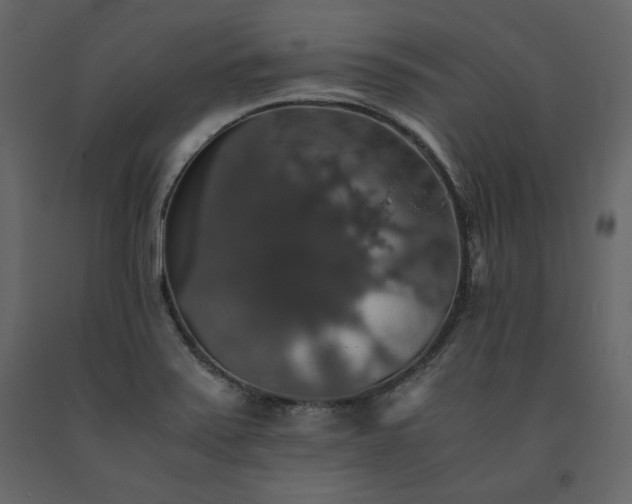 X0000091551371200708241746
