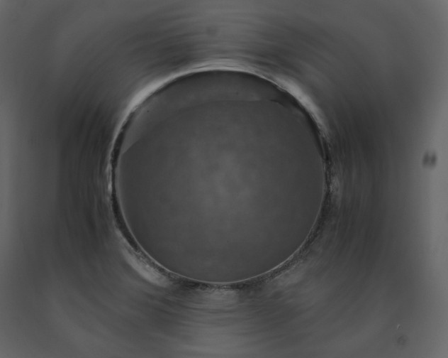 X0000091551372200708241746
