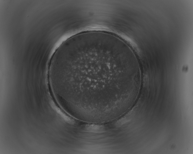 X0000091551374200708241746