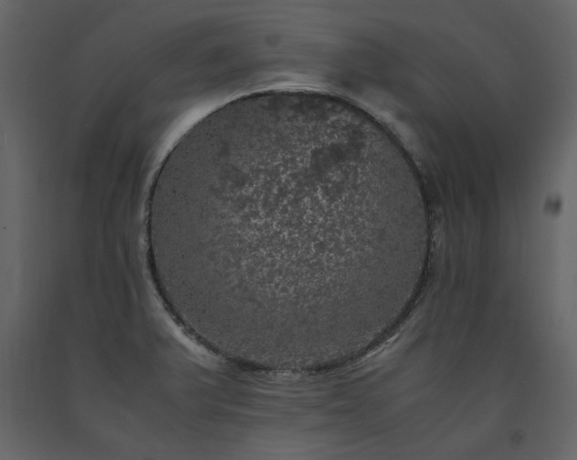 X0000091551375200708241746
