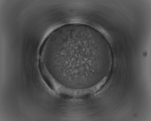 X0000091551376200708241746