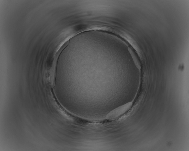 X0000091551377200708241746